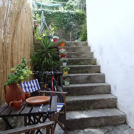 Albergue Bracara *